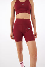 PERFORMANCE BIKER DASH