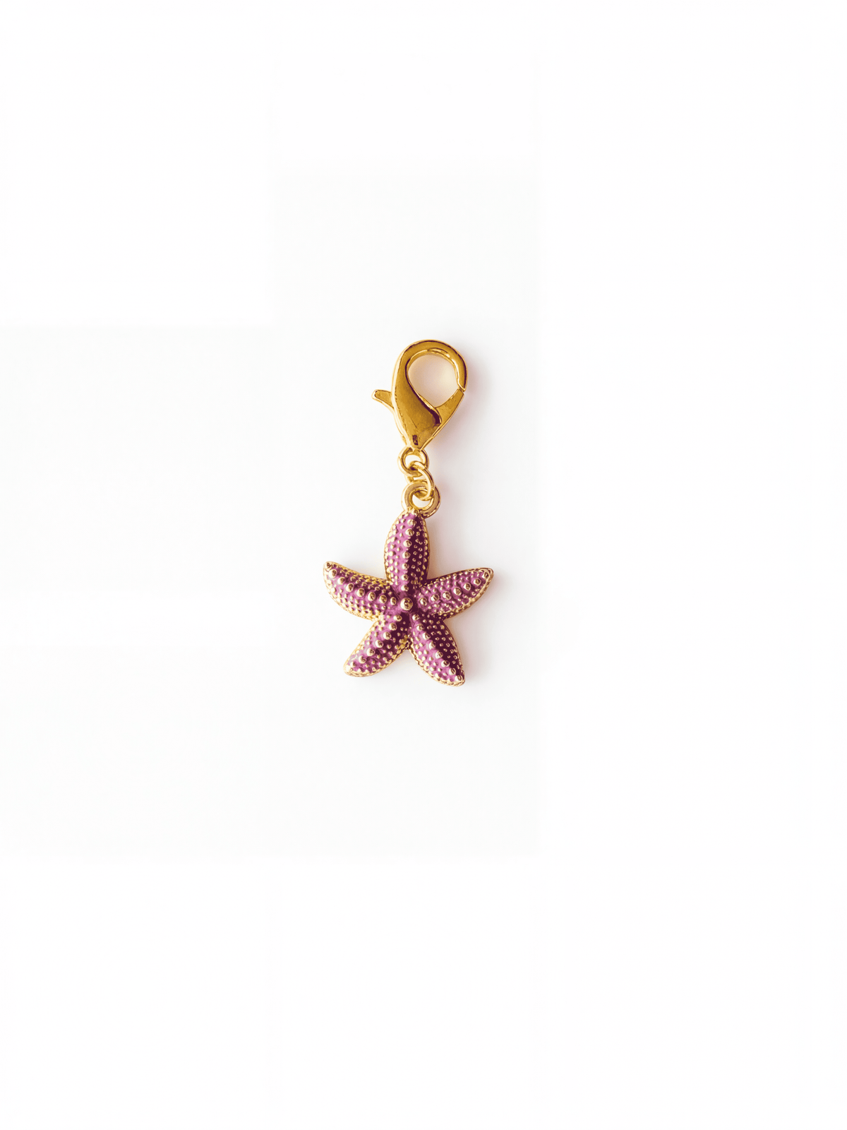 Charms | DIJES