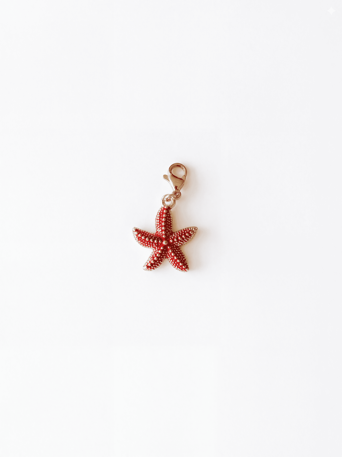 Charms | DIJES