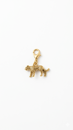 Charms | DIJES